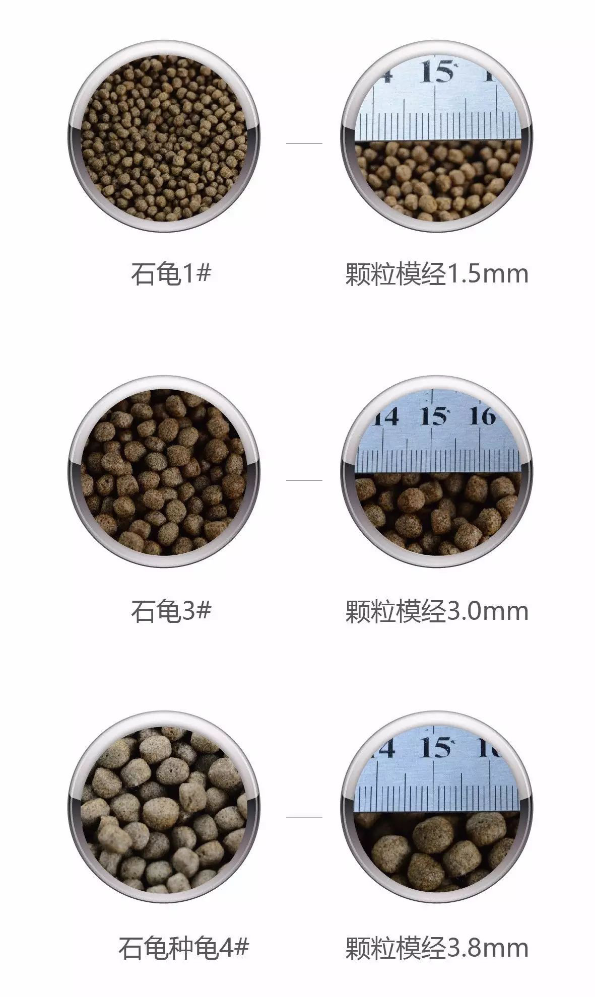 石龜料模徑